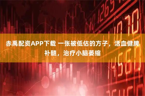赤禹配资APP下载 一张被低估的方子，活血健脾补髓，治疗小脑萎缩