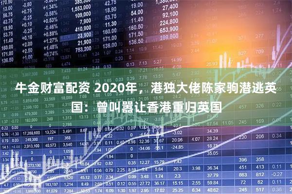 牛金财富配资 2020年，港独大佬陈家驹潜逃英国：曾叫嚣让香港重归英国