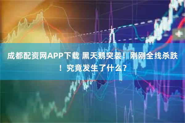 成都配资网APP下载 黑天鹅突袭！刚刚全线杀跌！究竟发生了什么？