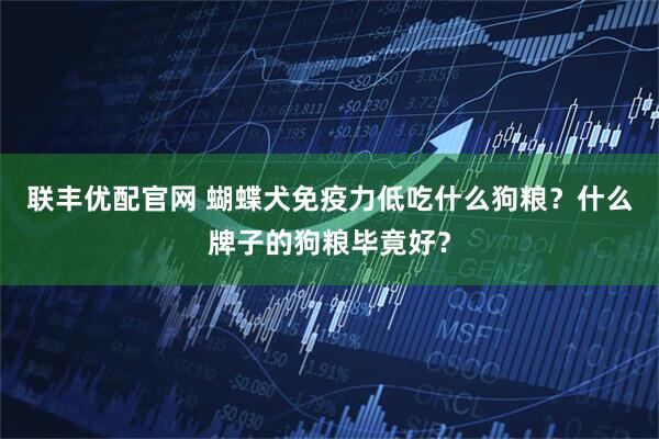 联丰优配官网 蝴蝶犬免疫力低吃什么狗粮？什么牌子的狗粮毕竟好？