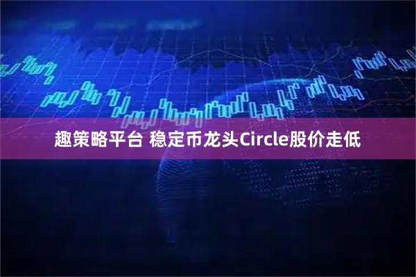 趣策略平台 稳定币龙头Circle股价走低