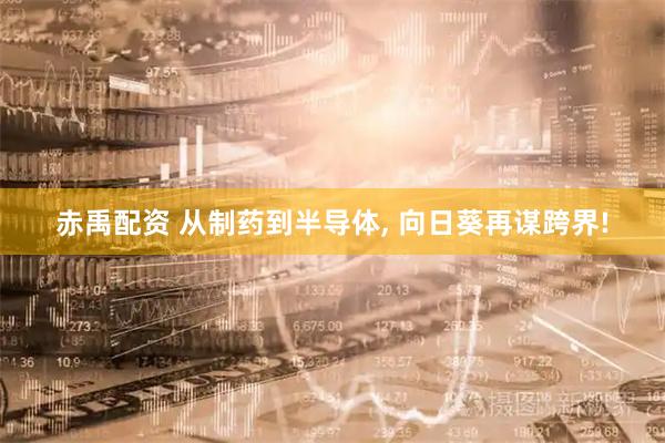 赤禹配资 从制药到半导体, 向日葵再谋跨界!