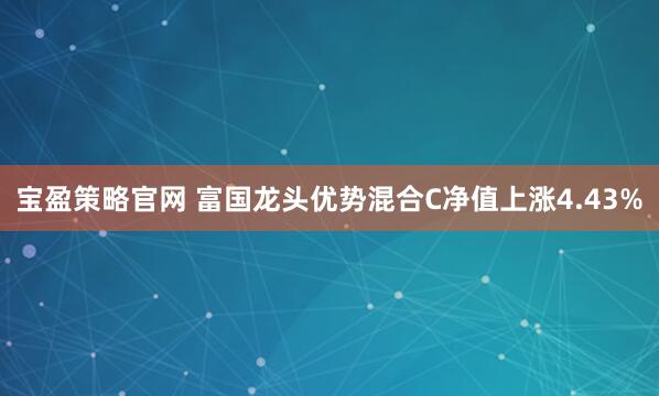 宝盈策略官网 富国龙头优势混合C净值上涨4.43%